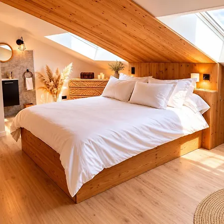 Romantique Avec Sauna Privatif, Balneo Et Piece Secrete- -vosges Daire